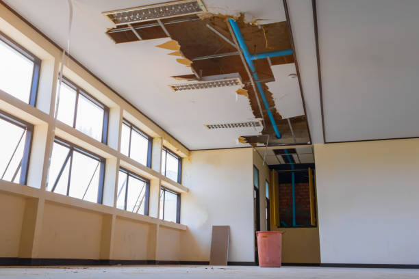 Best Local water damage restoration  in Blackshear, GA