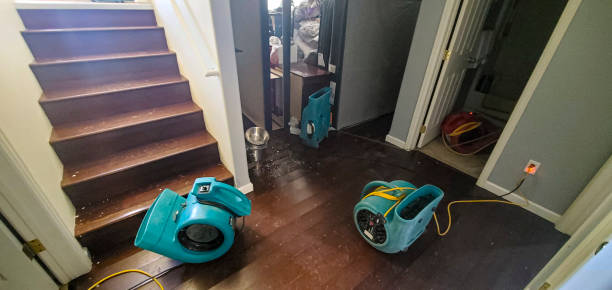 Best Emergency water damage restoration  in Blackshear, GA