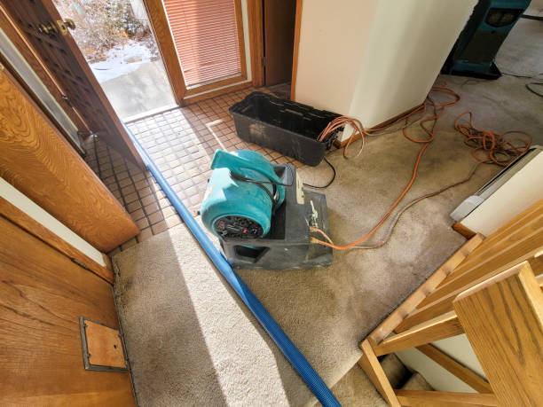 Best Flooded house restoration  in Blackshear, GA