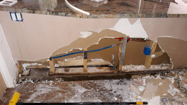 Best Water damage cleanup near me  in Blackshear, GA