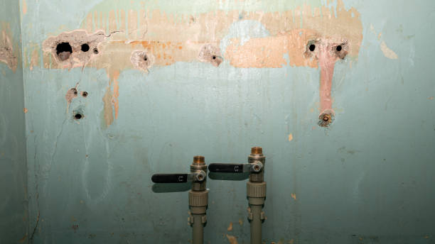 Best Residential water damage restoration  in Blackshear, GA