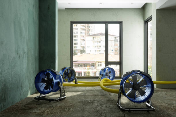 Best Commercial water damage restoration  in Blackshear, GA