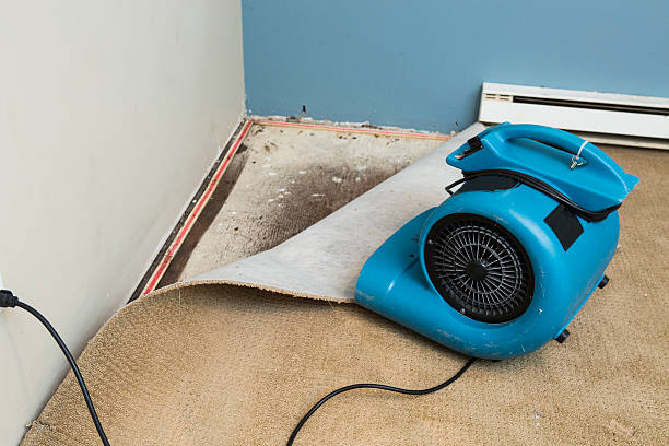 Best Commercial water damage restoration  in Blackshear, GA